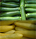 Green & Yellow Zucchini.